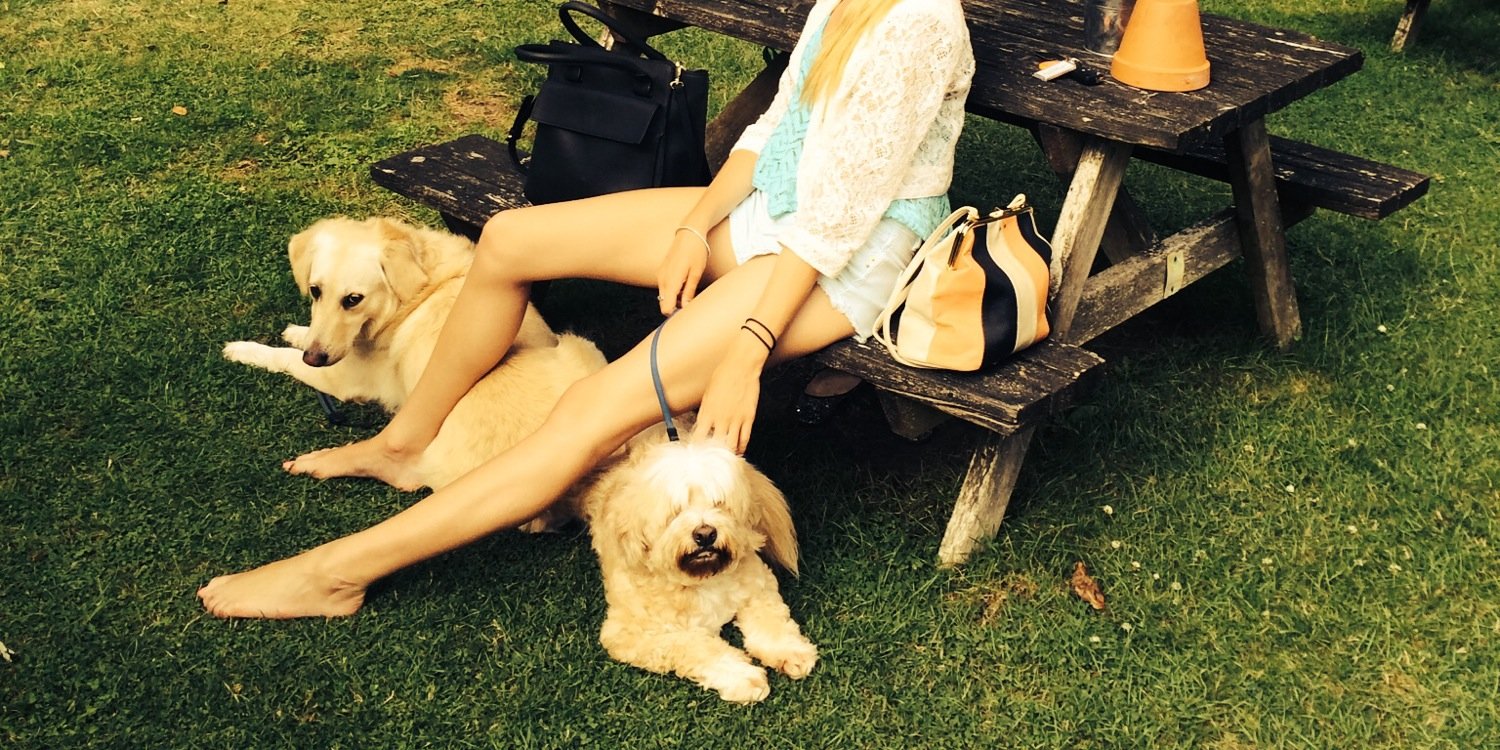 CandidaMyers's profile banner image