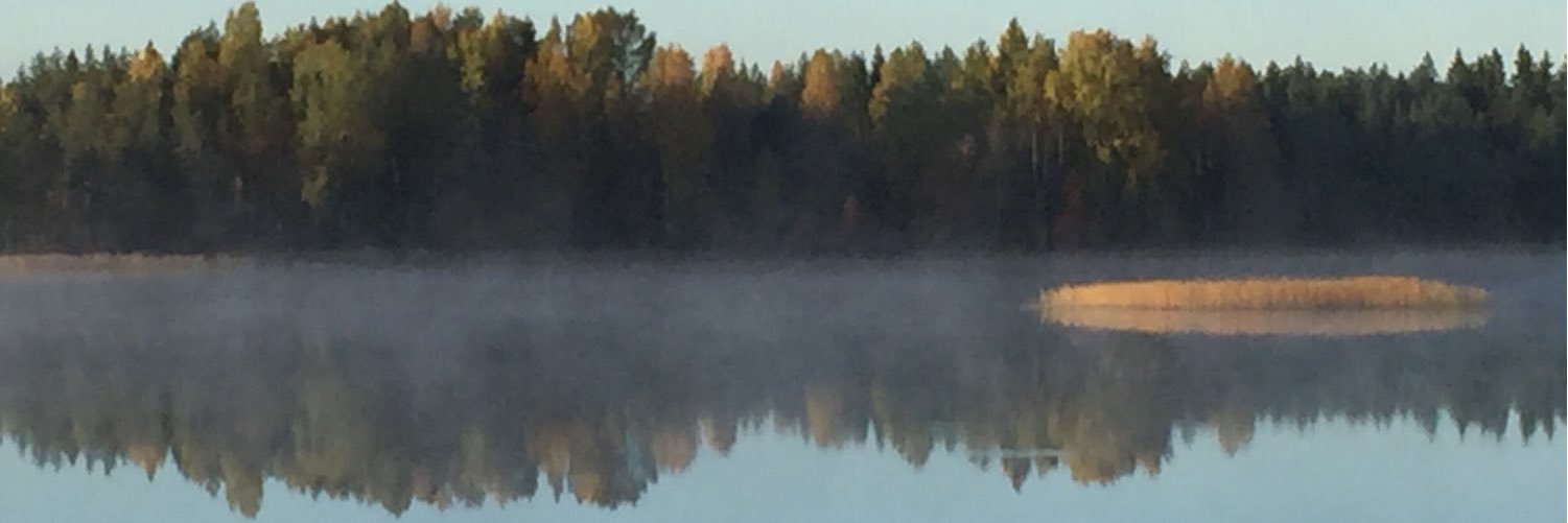 JSarviaho's profile banner image
