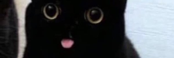 KDThreeD Profile Banner