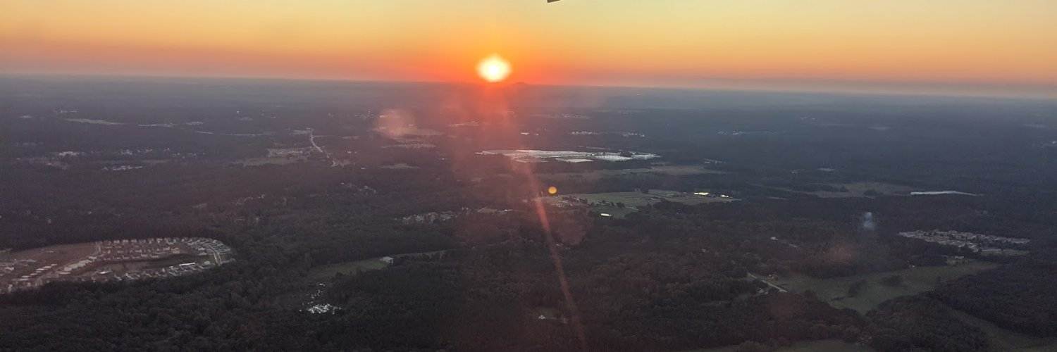 Flying Monkey 🐒 banner