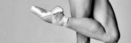 Suzana B's banner