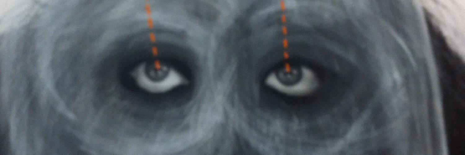 sallyr's profile banner image