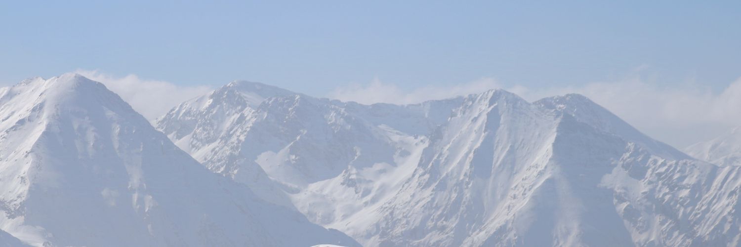 Axelle ᛉ's banner