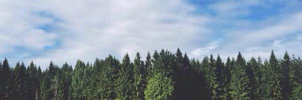 normallyroute Profile Banner