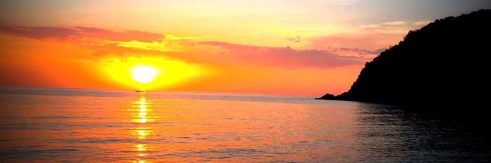 Nicobecchio's profile banner image