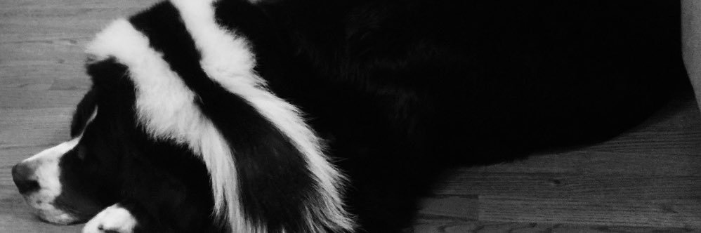 animaldok's banner