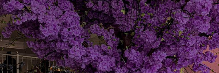 monaarh74's profile banner image