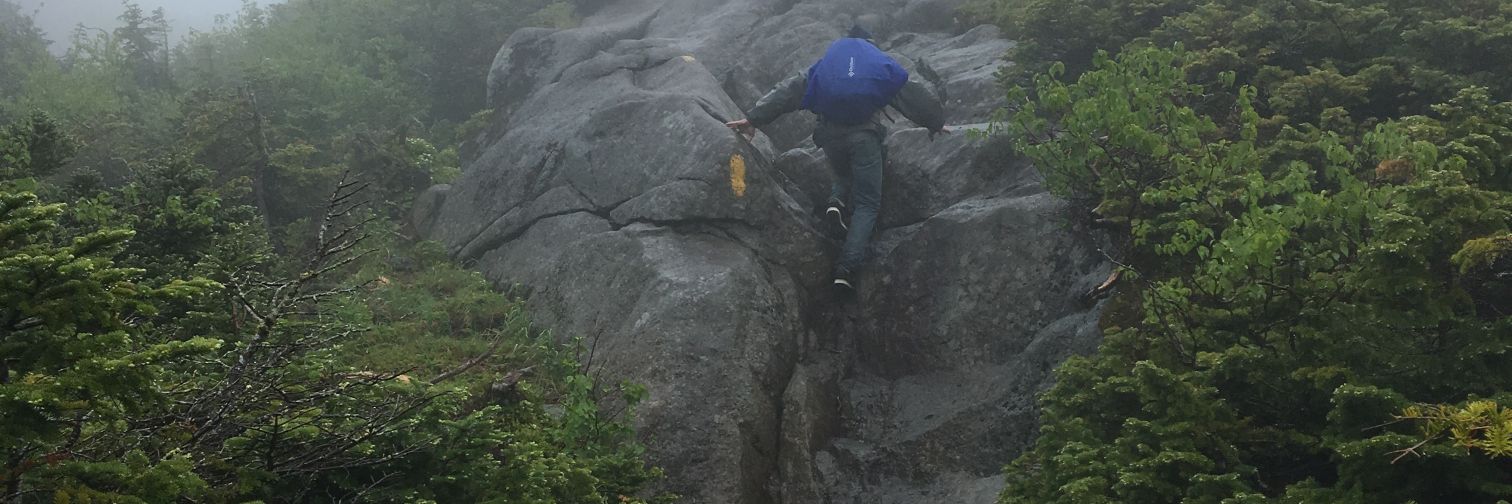 HeadsOnSpikes banner