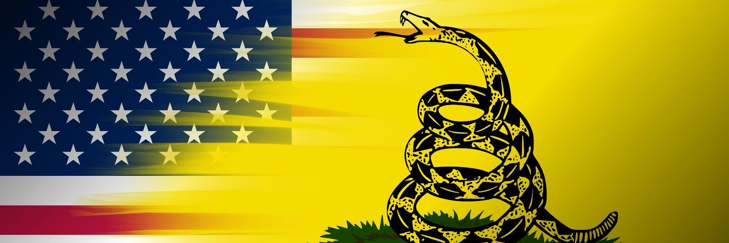 Fly Over Dave🇺🇲 banner