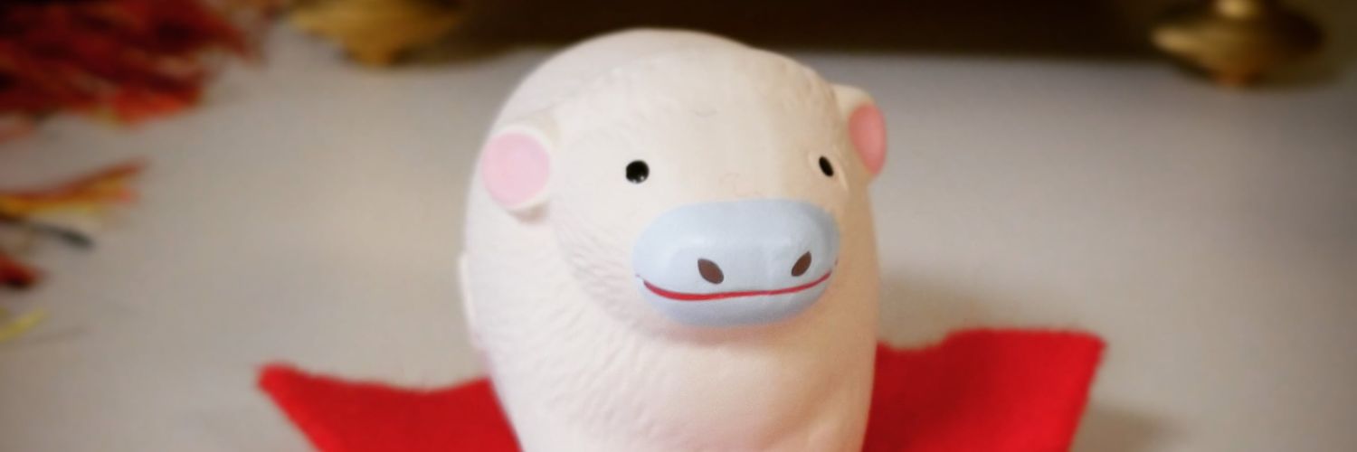 saolink605's profile banner image