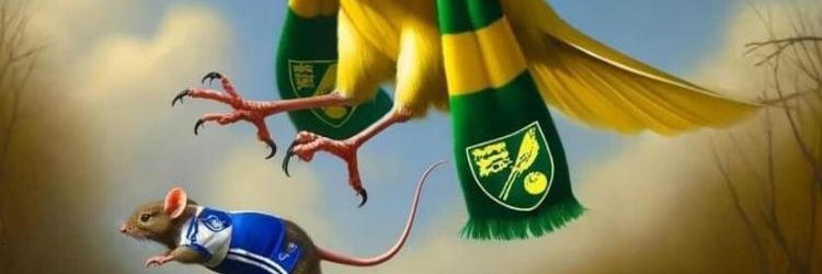 Mark Corbluth's banner