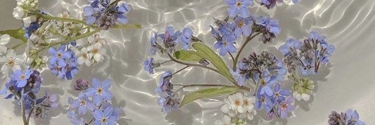 SabriPautasso's profile banner image
