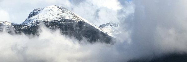 GeneZiesel Profile Banner
