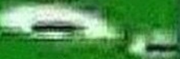 ☩SpongeAnon🌲 banner