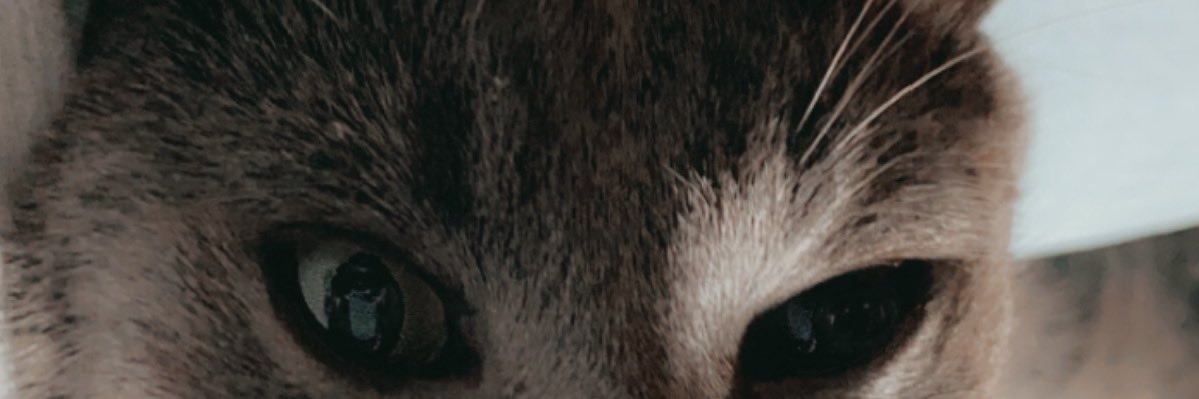 hotshot0822's profile banner image