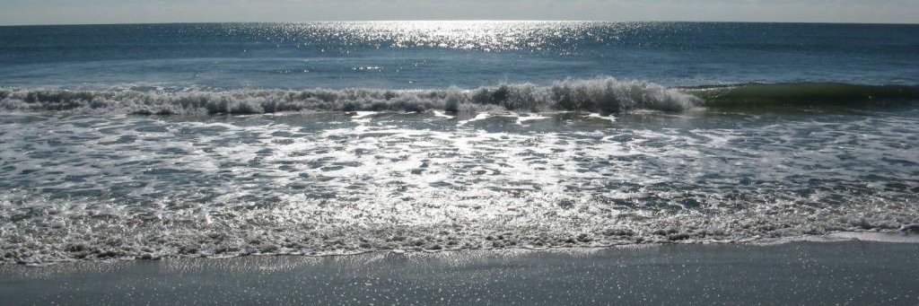 Peter Stewart banner