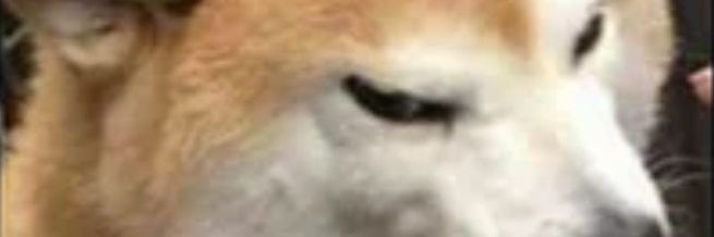 OneHitJigen's profile banner image