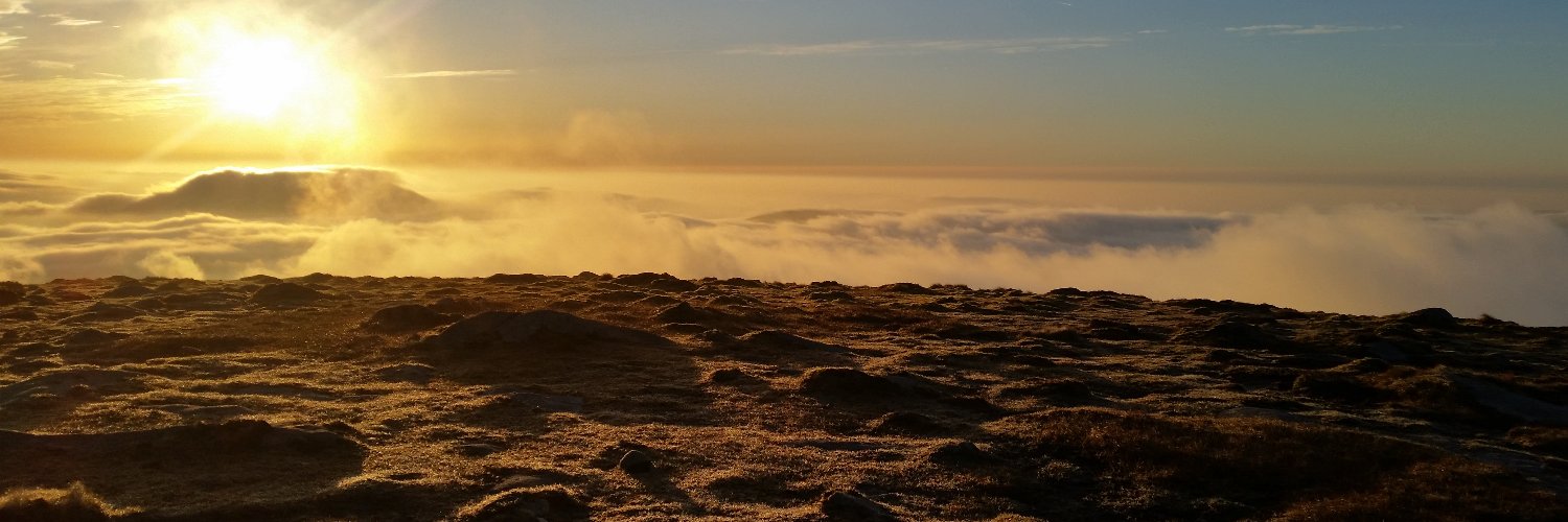 albertwhite's profile banner image