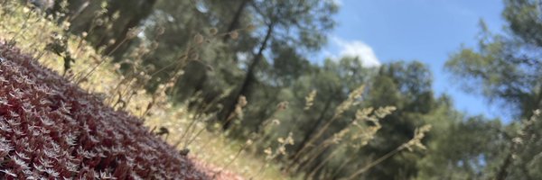 YaelWag Profile Banner