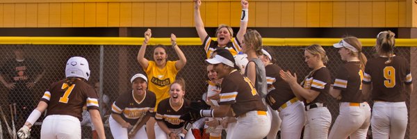 HDJSoftball Profile Banner