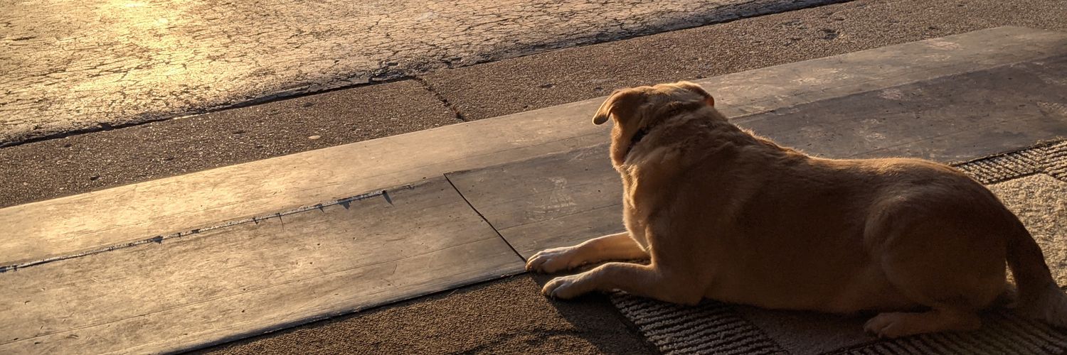 Nykolle's profile banner image
