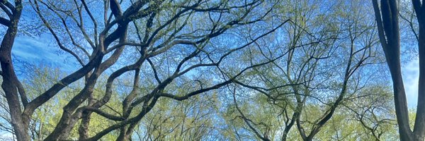 SedaToluMD Profile Banner