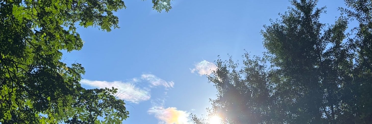 ChadLinn6's profile banner image
