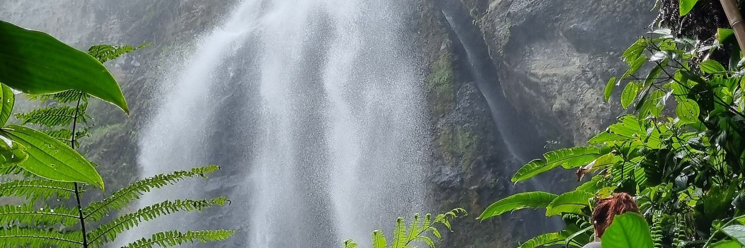 Gersom777's profile banner image