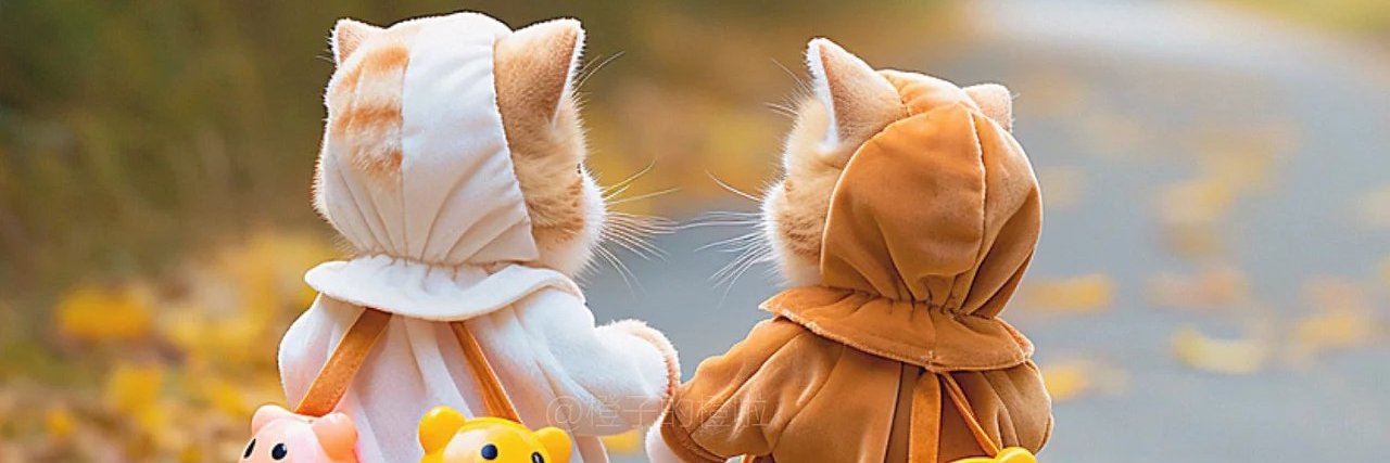 summerthales's profile banner image