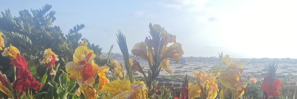 bradberry101 Profile Banner