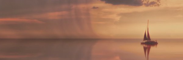 IRobins7 Profile Banner