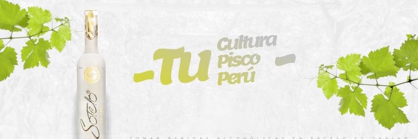 Pisco Sotelo banner