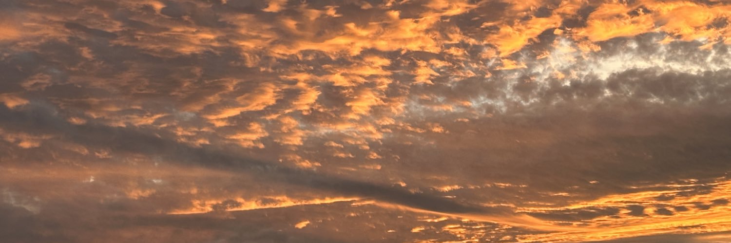 Denise Décary ⚜️'s banner