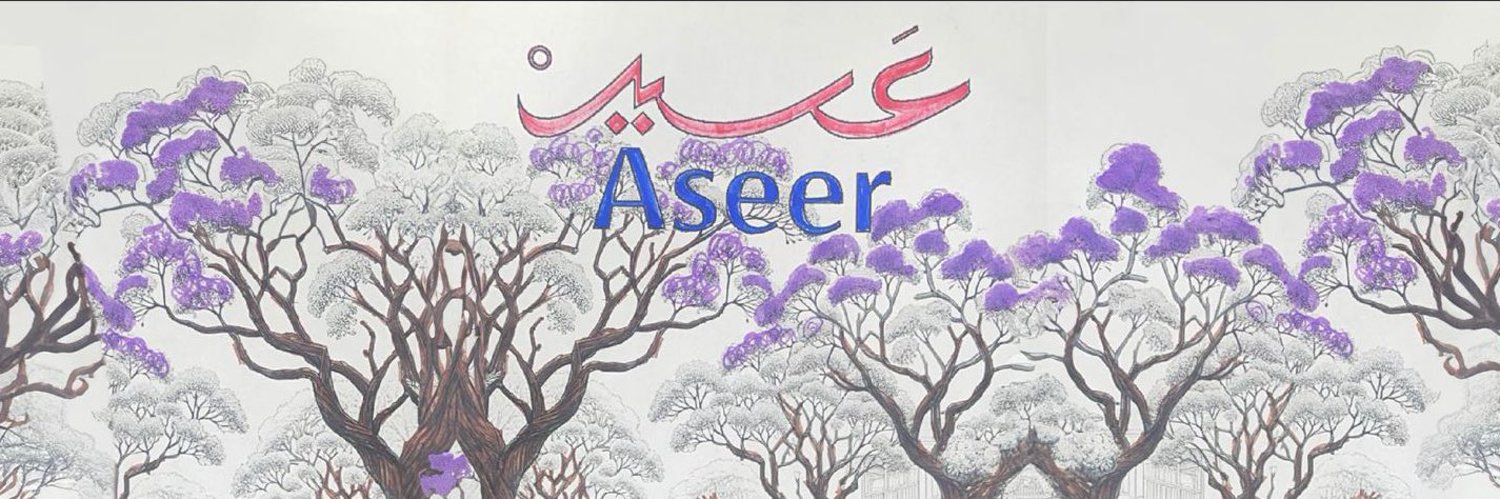 إمارة منطقة عسير banner