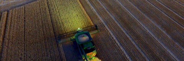 BJ_Hark Profile Banner