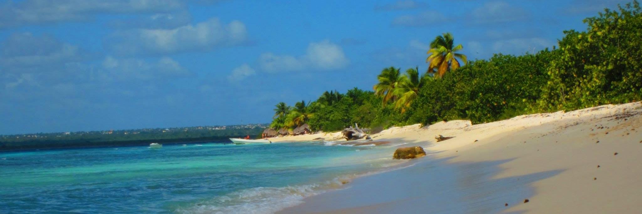 Kenneth Scigulinsky banner