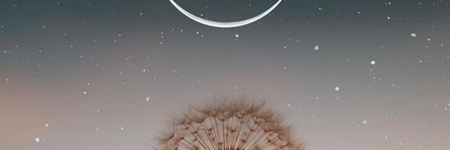 Beautiful Dreamer banner