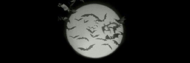 blake ⚣'s banner