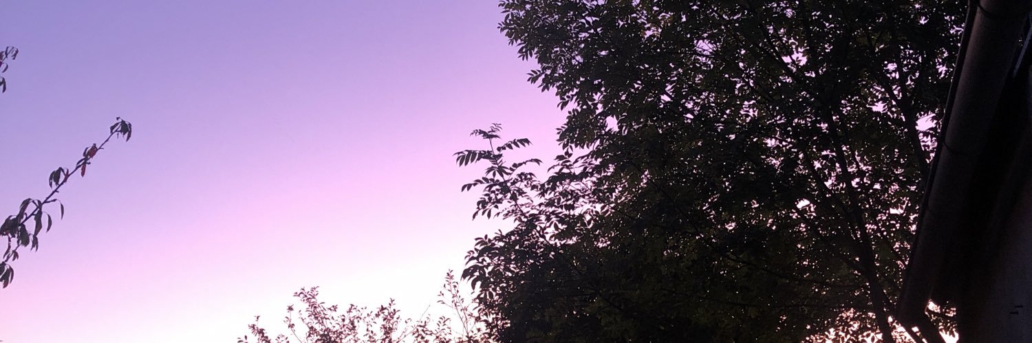 _ChloeGouriou's profile banner image