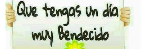 medinaberna's profile banner image