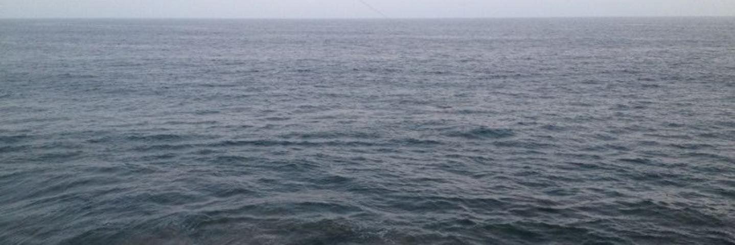 Rad_Sasi's profile banner image