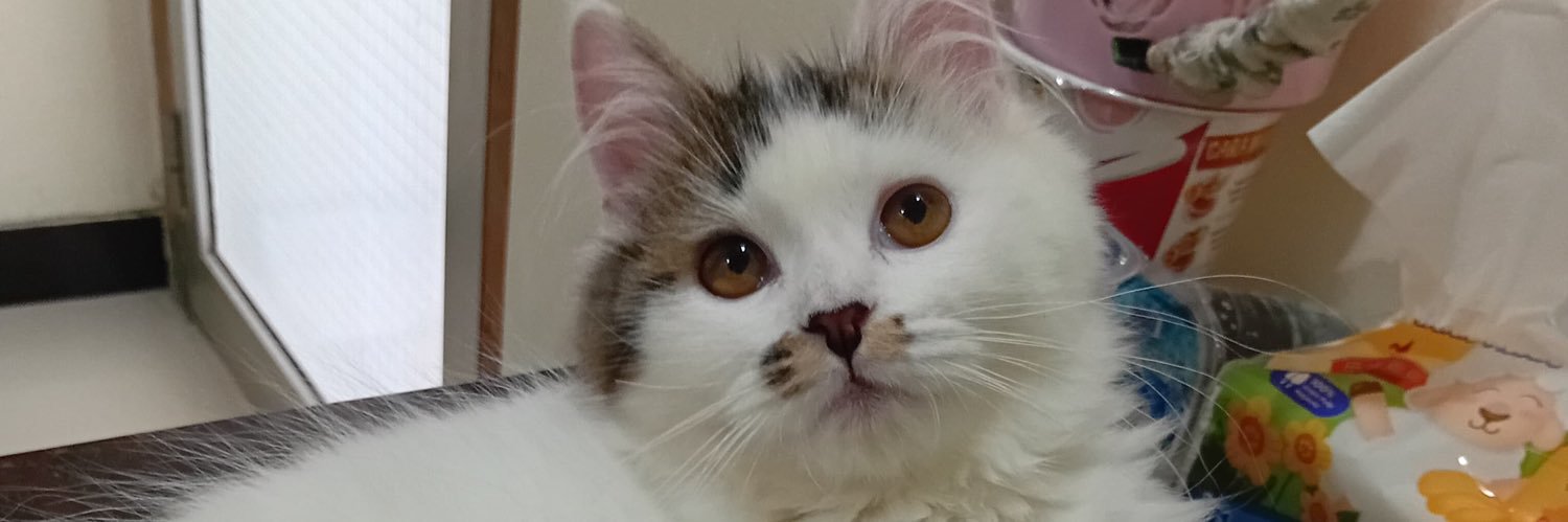 🧚‍♂️ banner