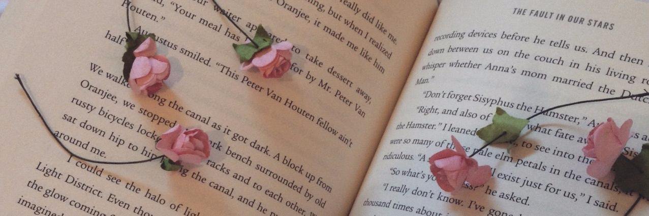 shelleycapshaw's profile banner image