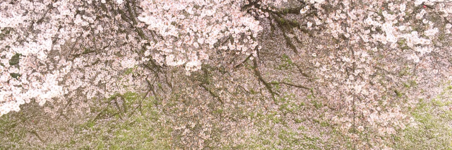 canaclarin's profile banner image