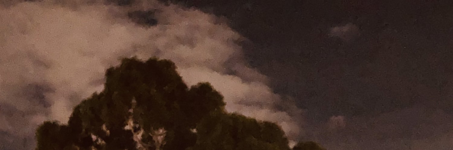 Maicol0499's profile banner image