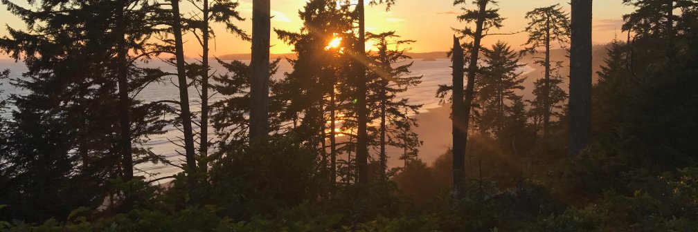 Jorge L. Barón banner