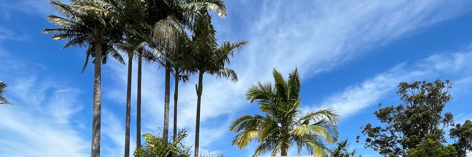 澳野闲人🇦🇺 banner