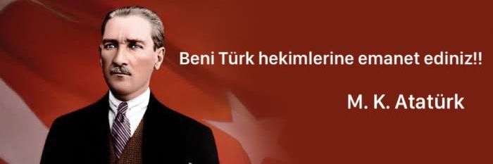 yumutu's profile banner image