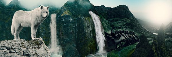 tapefire Profile Banner