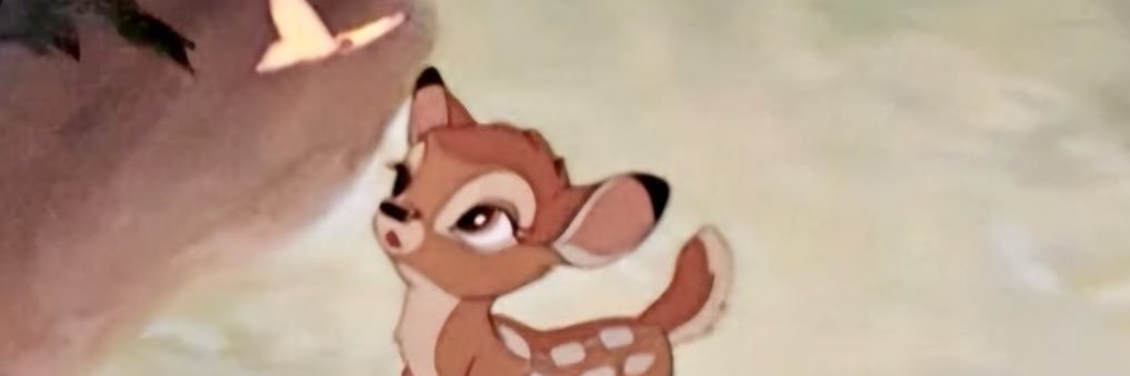 aranel⋆𐙚 ̊. banner